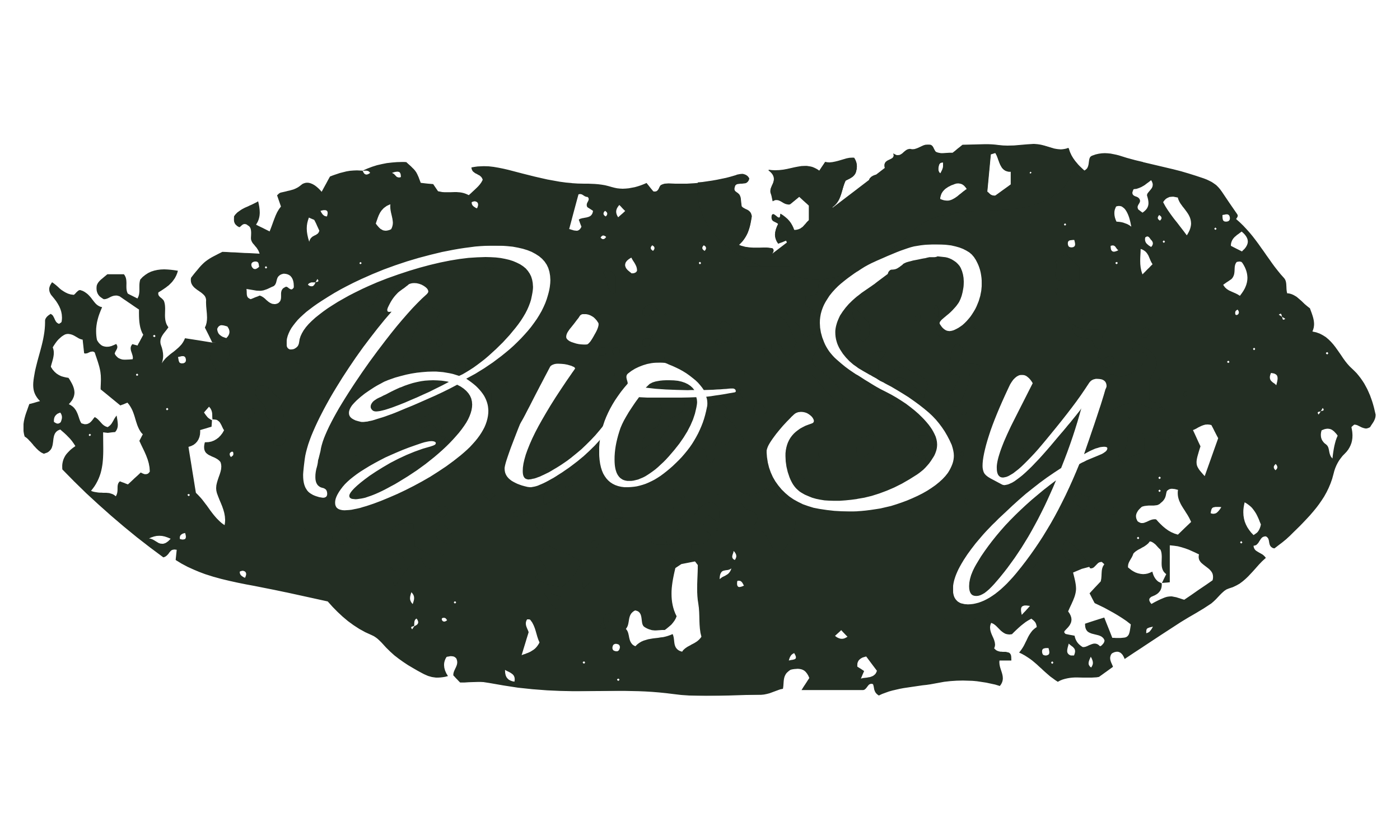 BioSy Makeup Paris®